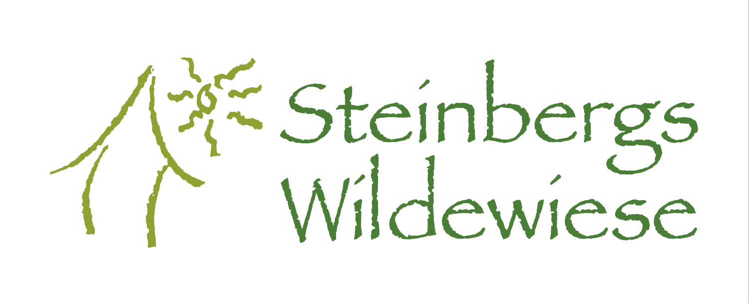 Steinbergs Wildewiese